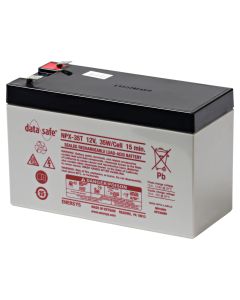 LEAD-NPX35-250 Battery